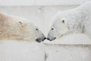 the base sapporo susukino