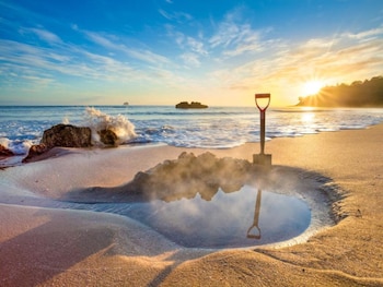 shelly beach top 10 holiday park