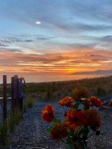 the cliffs seaside lodge