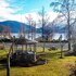 te anau