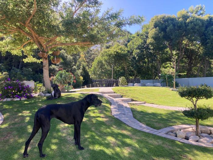 a riberbed swellendam