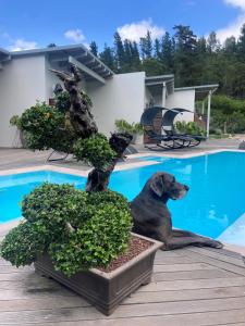 a riberbed swellendam