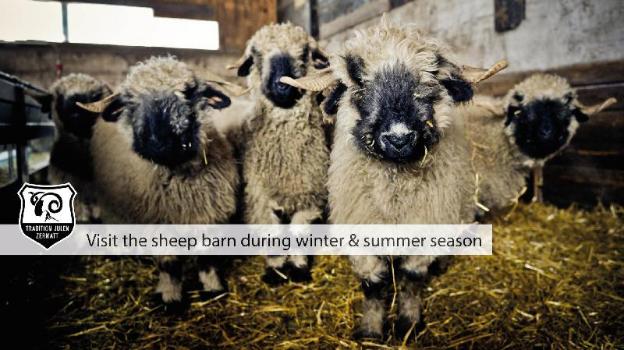 tradition julen hotel