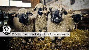 tradition julen hotel