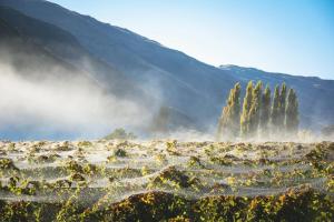 gibbston valley lodge and spa