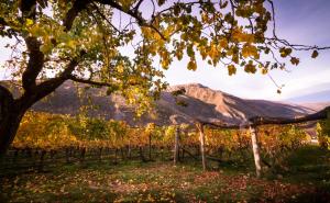 gibbston valley lodge and spa