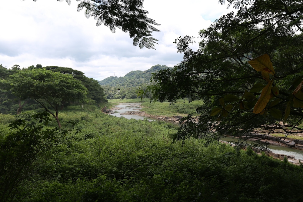 riverside homestay apartments