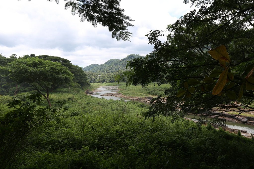 riverside homestay apartments