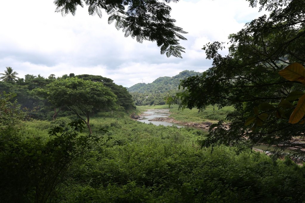 riverside homestay apartments