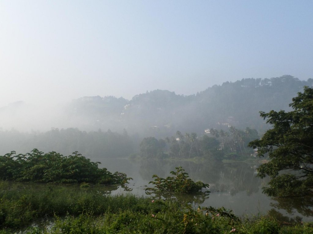 riverside homestay apartments