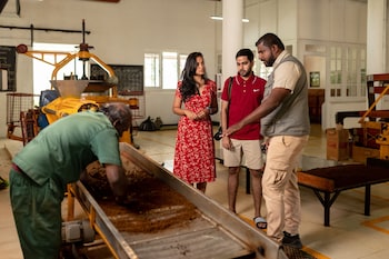 tea and experience factory