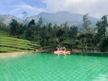 tea and experience factory