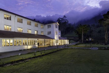 tea and experience factory