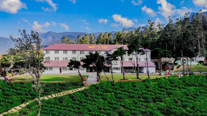 tea and experience factory