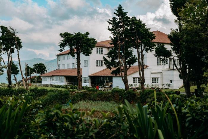 tea and experience factory