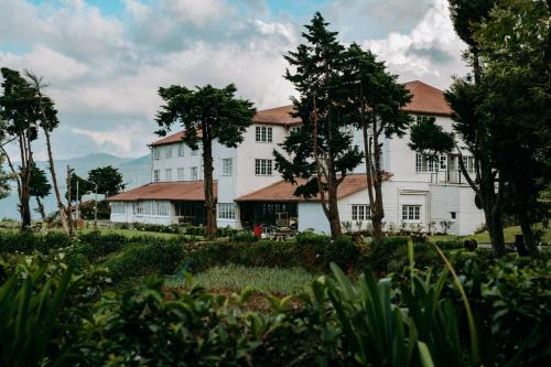 tea and experience factory