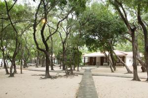 nilaveli beach hotel