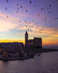 trani