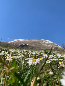 la fattoria dei sibillini