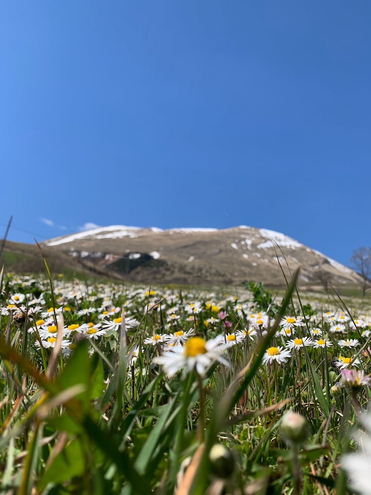 la fattoria dei sibillini