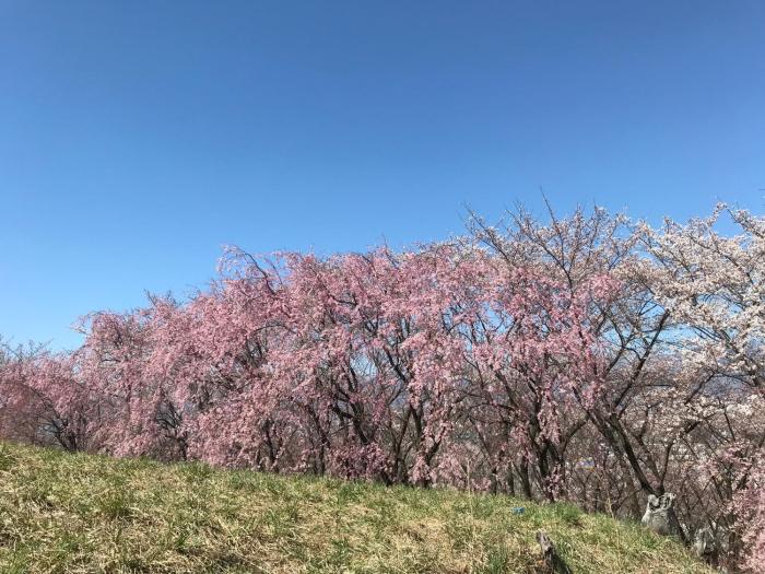 cafe and stay castana