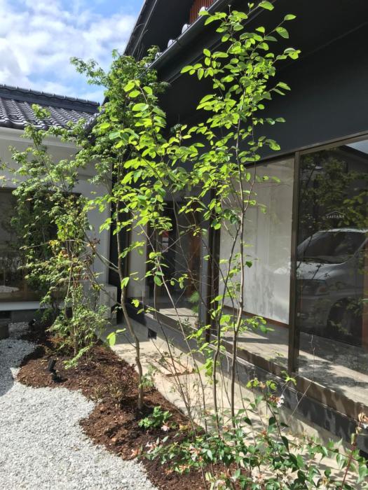 cafe and stay castana