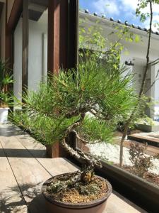 cafe and stay castana