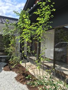 cafe and stay castana