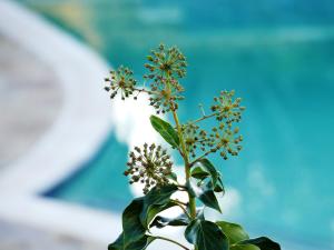 gqeberha port elizabeth