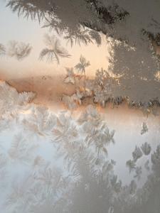 niseko guesthouse nalu