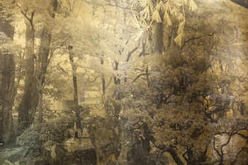 hotel forza kanazawa