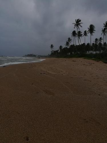 galle