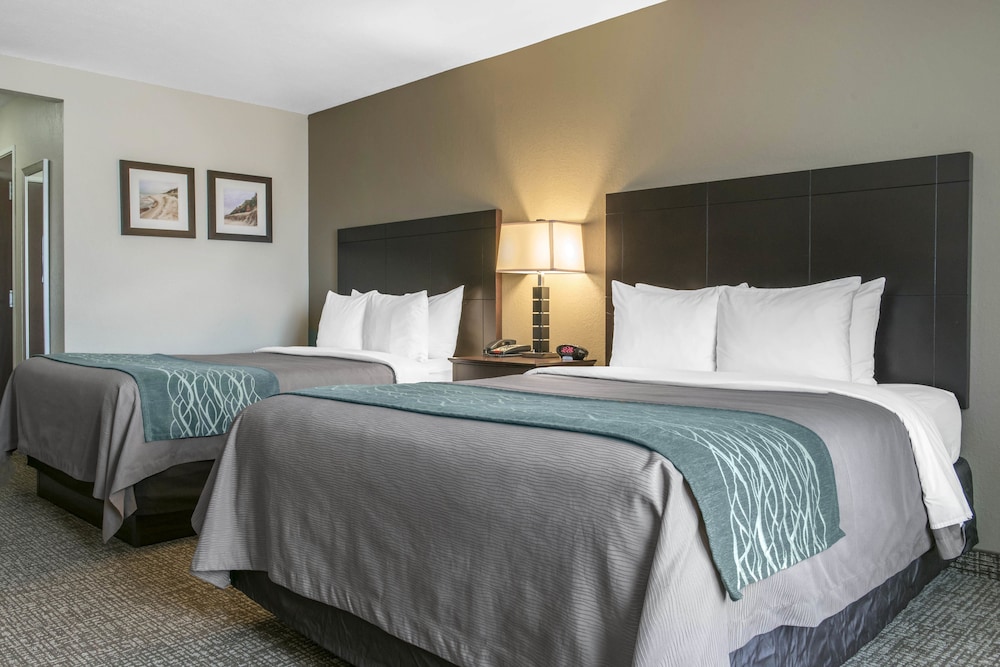comfort inn and suites porter near indiana dunes