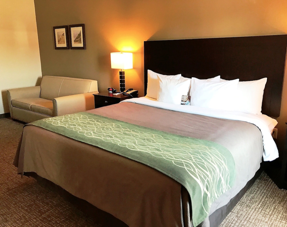 comfort inn and suites porter near indiana dunes