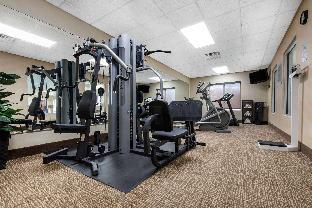 comfort inn and suites porter near indiana dunes