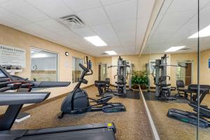 comfort inn and suites porter near indiana dunes