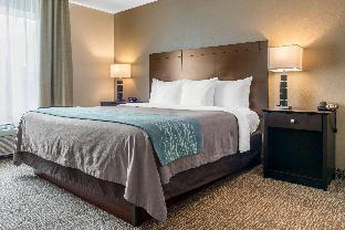 comfort inn and suites porter near indiana dunes