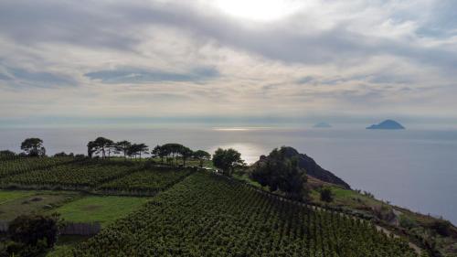 castellaro wine resort