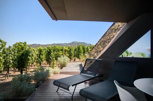castellaro wine resort