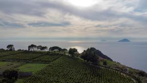 castellaro wine resort