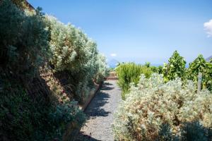 castellaro wine resort