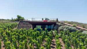 castellaro wine resort