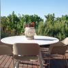 Castellaro Wine Resort,Lipari>>Aeolian Islands,0 star