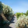 Castellaro Wine Resort,Lipari>>Aeolian Islands,0 star