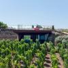 castellaro wine resort