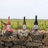 masseria cuturi