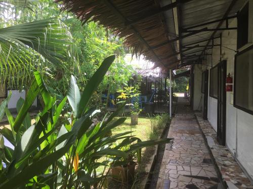 olivias accommodation