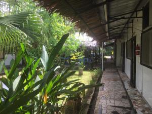 olivias accommodation