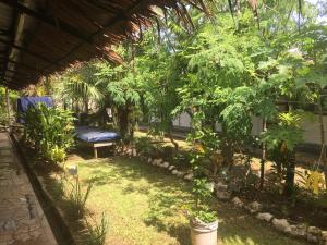 olivias accommodation