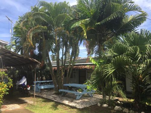 olivias accommodation